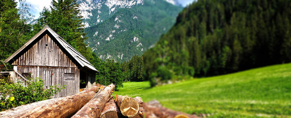 Foto:@pixabay.com Foto:@pixabay.com