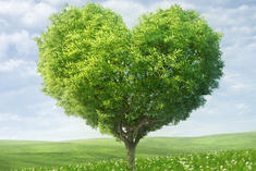 © Maksim Samasiuk - Fotolia.com © Maksim Samasiuk - Fotolia.com