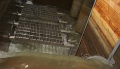 Foto: Hall AG Foto: Hall AG