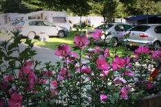 Foto: Hall AG (M. Marsoun-Kaindl) 