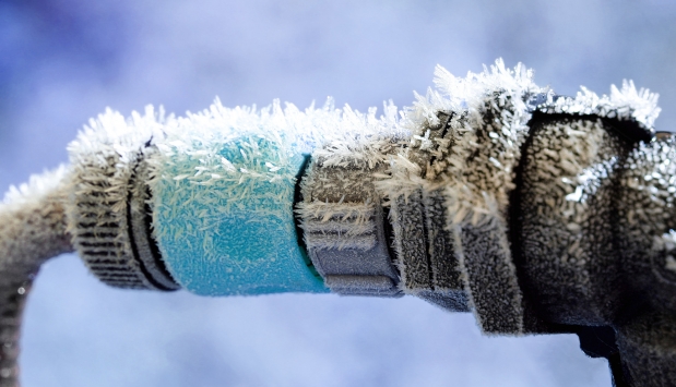 Foto: Renate Micallef - Fotolia.com